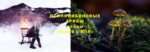 крисы Кинешма
