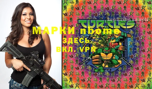 крисы Кинешма
