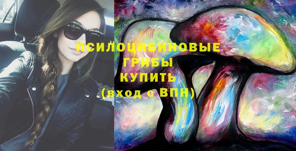 крисы Кинешма