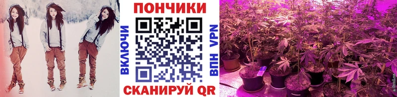 Шишки марихуана ГИДРОПОН Купить закладки Белебей